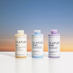 Back to Basics: Unsere 3 Shampoos